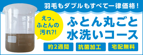 羽毛もダブルもすべて一律価格！ふとん丸ごと水洗いコース　約2週間　抗菌加工　宅配無料